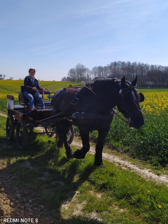 Veritable Roulotte Hippomobile "La Bailleul" Mentheville Exterior foto